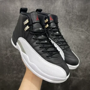 Air Jordan 12