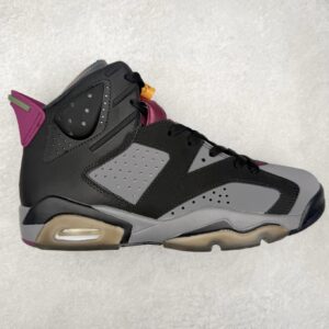 Air Jordan 6