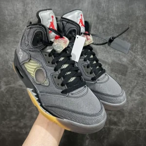 Air Jordan 5