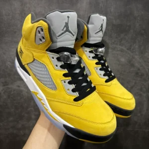 Air Jordan 5