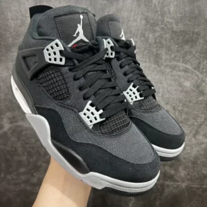 Air Jordan