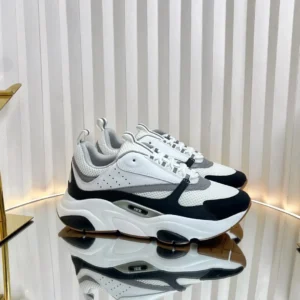 Dior B22